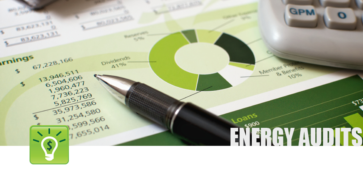 Energy-Audit